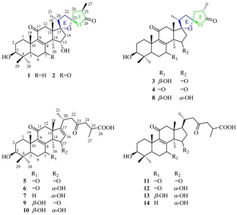 Isolation, Structural Elucidation, and α-Glucosidase Inhibitory ...