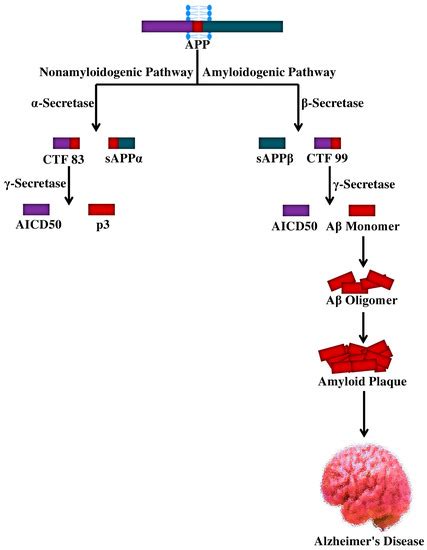 Molecules | Special Issue : Bioactive Natural Compounds and Their ...