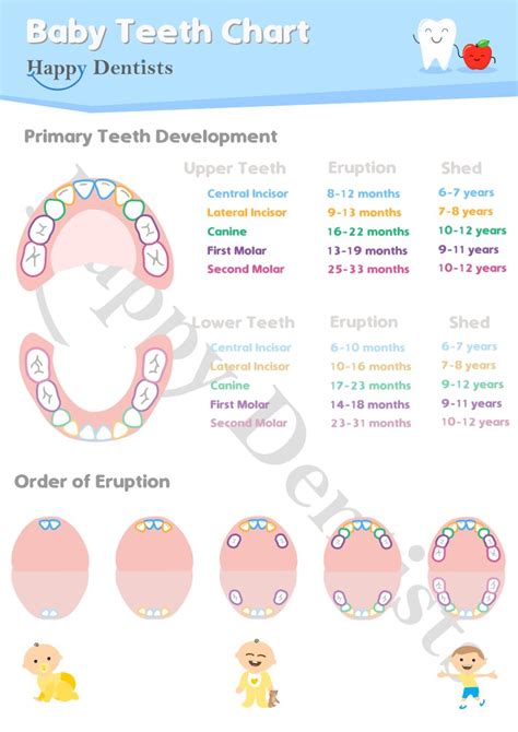 Image result for Tooth Growth Chart
