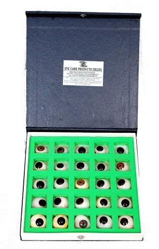 Artificial Eyes - Artificial Eyes 50 pcs Manufacturer from New Delhi