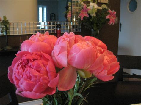 MadDesigns: It's Peonies Season!