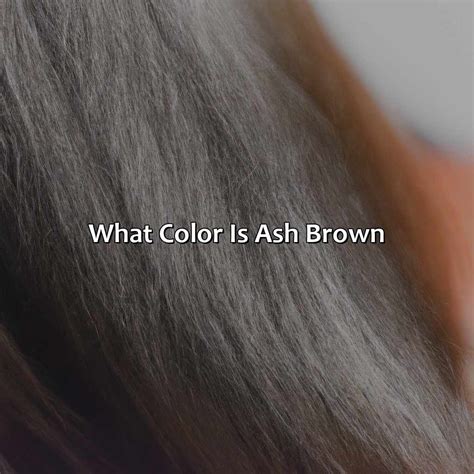 What Color Is Ash Brown - colorscombo.com