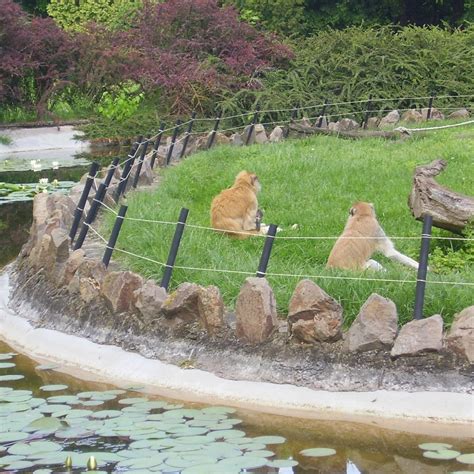 PALIC ZOO (2024) All You Need to Know BEFORE You Go (with Photos ...