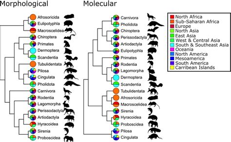 Evolution Tree 的图像结果