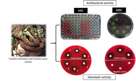 Animals | Special Issue : Veterinary Microbiology & Parasitology
