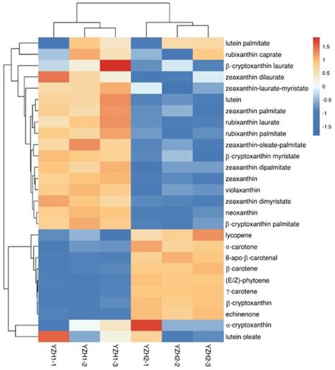 Metabolomic and Transcriptomic Analysis of Unique Floral Coloration in ...