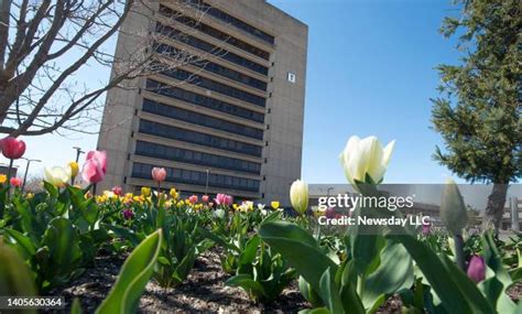 Image result for Basic Keyboarding Textbook Nassau Community College