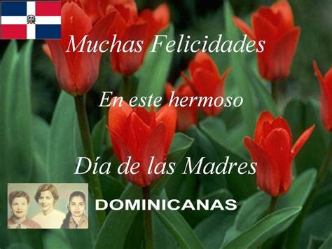 Feliz dia de las madres dominicanas, mujeres valientes y luchadoras por ...