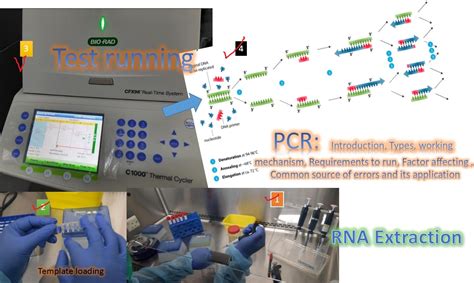 Image result for PCR Process in Project Development