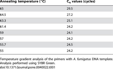 Temperature Gradient Test 的图像结果