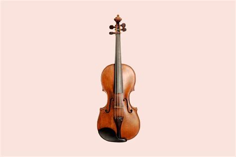 Instruments_Violin | Vivace Music Academy