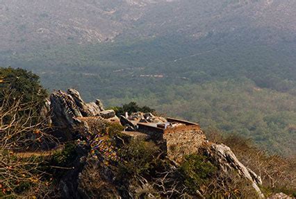 Buddhist Pilgrimage Tour - atozholidays
