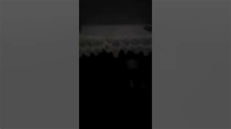 Image result for ABCmouse Log In