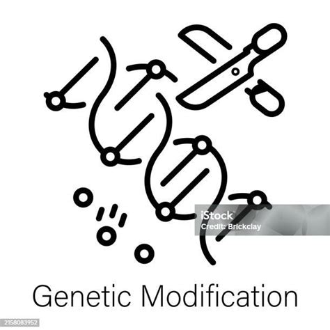Image result for Define Modification