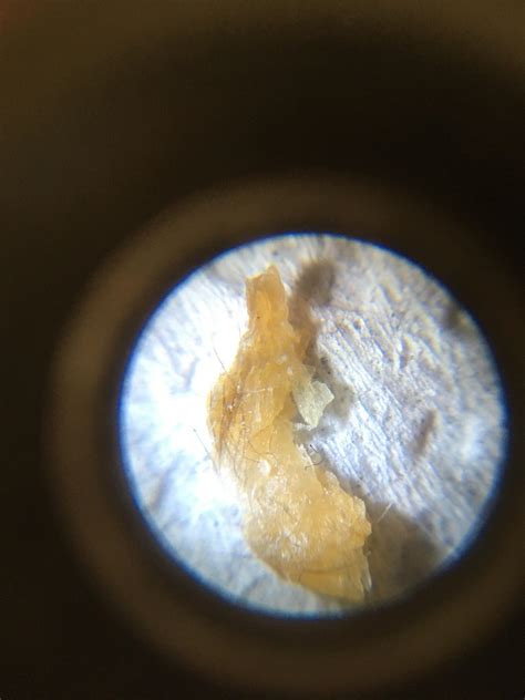 Fresh out of the shower. : r/earwax