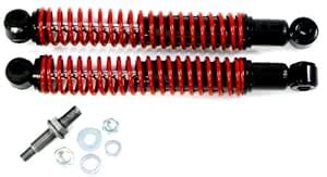 ACDelco 519-31 Specialty Front Spring Assisted Shock Absorber : Amazon ...