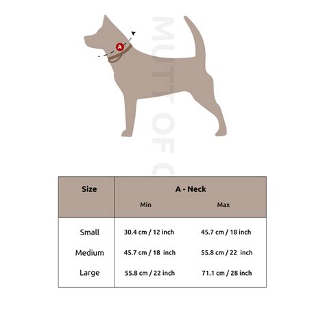 Royal Indian Tiger Martingale Collar + Leash Set – Mutt of Course