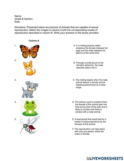 Image result for Animal Reproduction Grade 12