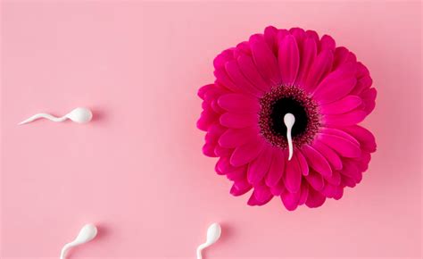 Cholesterol And Hormones: Why Women Need To Pay Attention | OnlyMyHealth