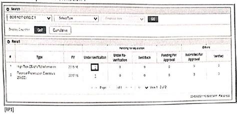 Insight Portal: High-Risk CRIU/VRU Cases and Non-PAN Cases
