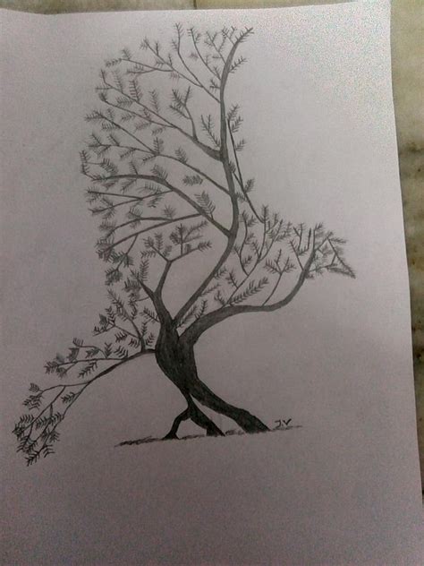 Image result for Creative Tree Drawing