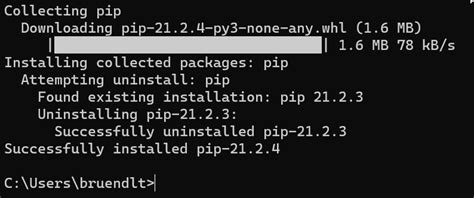 Install Boto3 Python 的图像结果