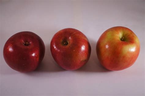 Image result for Alignment Tables Example
