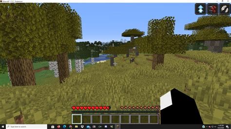 Random Craft Mod 的图像结果