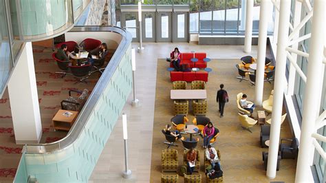 Academic Library 的图像结果