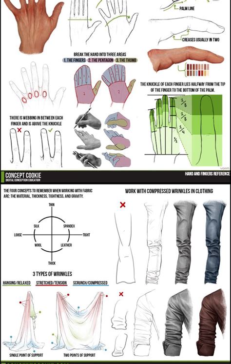 Image result for Drawing References for Beginers