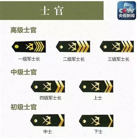 中国人民解放军军衔等级 - 搜狗百科