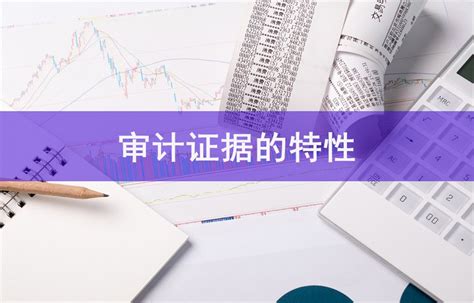 100条常见审计查出问题整改指南及解读