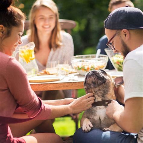 Handyman Tips and Tricks 的图像结果