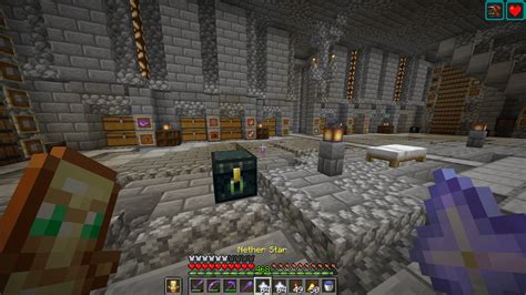 Image result for Wither Skull Farm Tutorial