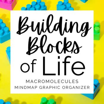 Image result for Macromolecules Building Blocks