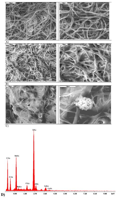 Fibrous Polymeric Composites Based on Alginate Fibres and Fibres Made ...