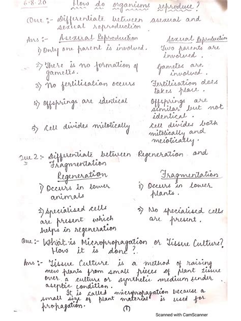 Reproduction Class 10 的图像结果