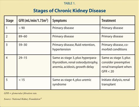 Is Stage 4 Chronic Kidney Disease Terminal at Richard Day blog