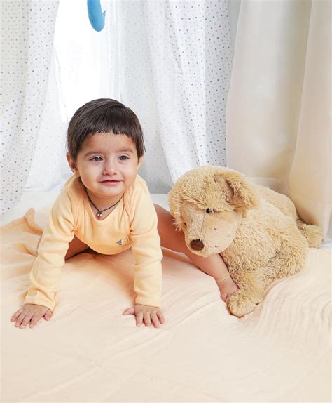 Buy Mi Arcus Golden Retriver Dog Soft Plush Toy Brown - Length 50 cm ...