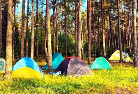 Camp Tikkling Gurgaon - 2026 Deals, Prices, and Itinerary