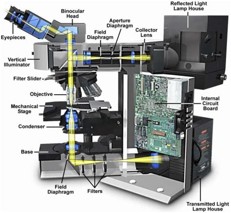 Modern Microscope 的图像结果