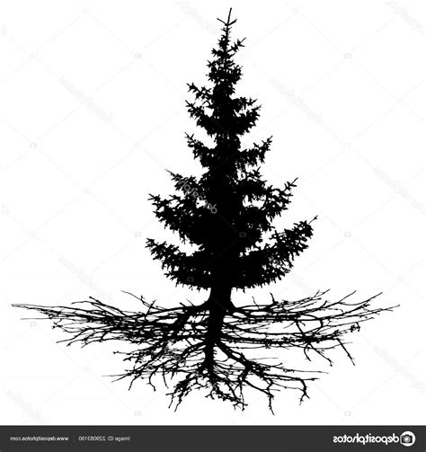 Evergreen Tree Vector 的图像结果