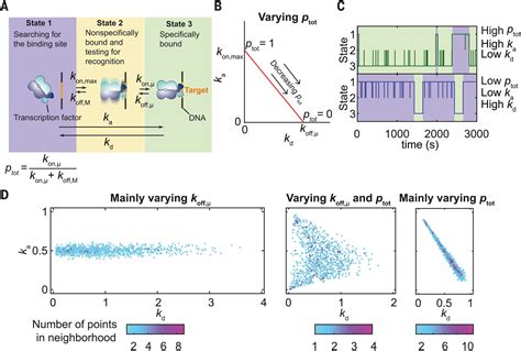Image result for Lac Operon Flow Chart