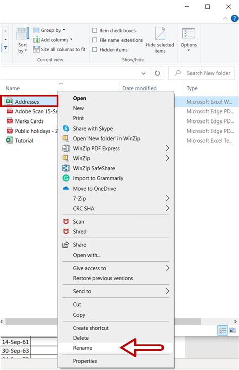 Excel File Name 的图像结果