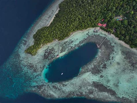 Raja Ampat Dive Resort | Papua Diving