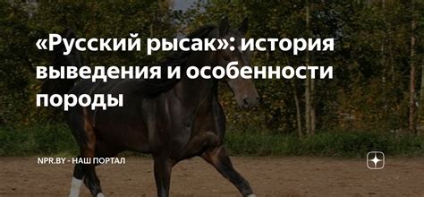 «Русский рысак»: история выведения и особенности породы | NPR.BY - Наш ...