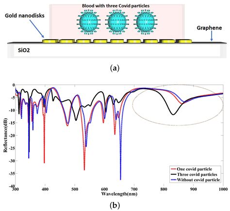 An Optical Modeling Framework for Coronavirus Detection Using Graphene ...