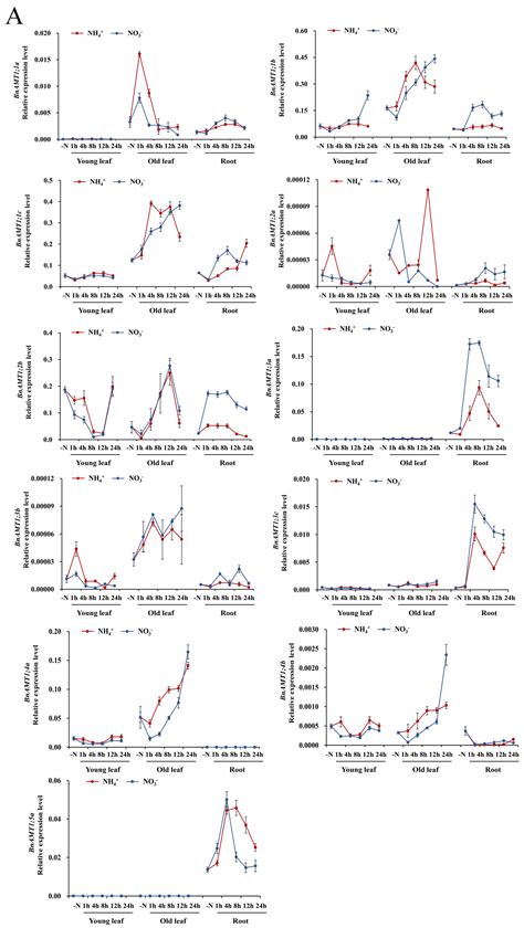 Genome-Wide Identification and Characterization of Ammonium Transporter ...