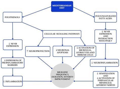Food in Migraine Management: Dietary Interventions in the ...