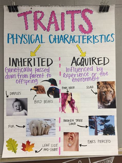 Traits Examples
